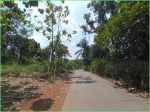 thumbnail-standart-perumahan-tanah-kapling-9-menit-universitas-pamulang-2