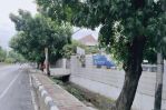 thumbnail-gedung-perkantoran-di-jl-pemuda-pulo-gadung-jakarta-timur-shgb-8