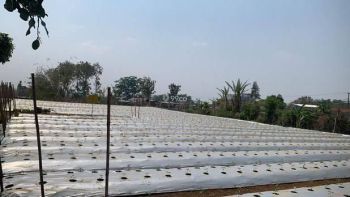 Dijual Tanah Murah SHM Malang Depan Villa Bukit Tidar