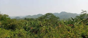 Tanah di Jual Harga Murah di Bogor Surat SHM View Gunung Jalan Cor