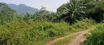 thumbnail-tanah-di-jual-harga-murah-di-bogor-surat-shm-view-gunung-jalan-cor-10