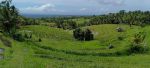 thumbnail-tanah-view-sawah-terasering-cantik-di-tabanan-bali-0