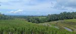 thumbnail-tanah-view-sawah-terasering-cantik-di-tabanan-bali-9