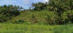 thumbnail-tanah-view-sawah-terasering-cantik-di-tabanan-bali-2