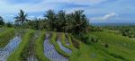 thumbnail-tanah-view-sawah-terasering-cantik-di-tabanan-bali-5