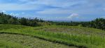 thumbnail-tanah-view-sawah-terasering-cantik-di-tabanan-bali-14