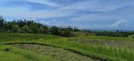 thumbnail-tanah-view-sawah-terasering-cantik-di-tabanan-bali-3