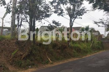 Sale Tanah: TANAH DIENG ATAS