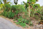 thumbnail-tanah-plot-kecil-dekat-kampus-unud-jimbaran-bali-tanah-207-m2-shm-di-bukit-hijau-9