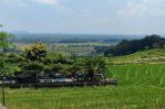 thumbnail-100-m-kopi-ampirono-jogja-kavling-siap-ajb-view-cantik-3