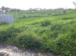 thumbnail-tanah-rice-field-view-pererenan-canggu-kuta-utara-bali-2