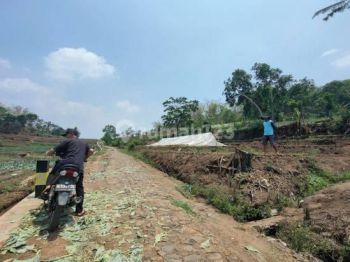 Tanah Sawah Subur Harga Istimewa Di Junrejo Kota Batu.