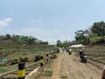 thumbnail-tanah-sawah-subur-harga-istimewa-di-junrejo-kota-batu-1