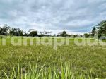 thumbnail-dijual-tanah-1119m2-pemandangan-bagus-sawah-dekat-ubud-central-0