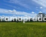 thumbnail-dijual-tanah-1119m2-pemandangan-bagus-sawah-dekat-ubud-central-1