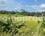 thumbnail-dijual-tanah-1119m2-pemandangan-bagus-sawah-dekat-ubud-central-3