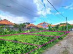 thumbnail-jual-tanah-batur-sari-sanur-lt-459-m2-5