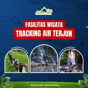 DIJUAL TANAH PERKEBUNAN MURAH - BOGOR