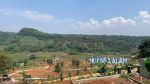 thumbnail-dijual-tanah-perkebunan-murah-bogor-12