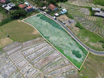 Tanah Murah View Sawah di Kaba Kaba Tabanan