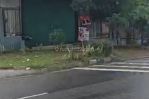 thumbnail-gudang-di-jl-raya-pemda-tigaraksa-tangerang-kab-tangerang-800-m-bagus-shm-3