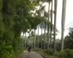 thumbnail-tanah-murah-di-leuwiliang-luas-2550m2-dekat-kantor-kecamatan-2